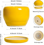 SQOWL 6 Inch Plant Pot - Image 3
