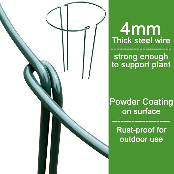 HiGift 12 Pack Plant Stakes for Indoor Plants, Metal Garden Peony Support Cages - Image 3
