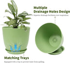Plant Pots 8 Inch Set of 6, Flower Pots - Image 3