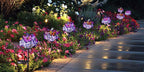 Outdoor Solar Garden Lights - Image 7