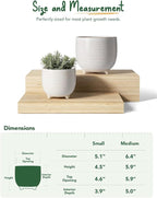 LE TAUCI Ceramic Plant Pots, 5.1 + 6.4 Inch Footed Pots - Image 5