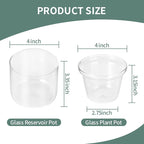 4 Inch Self Watering Pot, African Violet Pot, Bottom Watering Glass Planter - Image 3