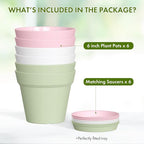 6 Inch Thick Plastic Plant Pots - Image 5