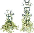 6PCS Trellis for Potted Plants, Stackable Indoor Plant Trellis for Climbing - Image 2