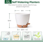T4U 4 Pack 6 Inch Self Watering Pots - Image 3