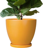10 Inch Plant Pot by EPFamily