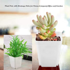 24 Pack 3 Inch White Square Plastic Plant Pots - Image 6
