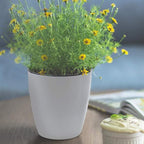 SAND MINE Self Watering Planter White Flower Pot - Image 7