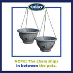 Ultimate Hanging Baskets - Image 4