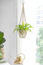 Dahey Macrame Plant Hanger Set of 3 - Image 3