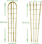 Natural Bamboo Trellis, Fan-Shaped+U-Shape, Plant Support Trellis - Image 2