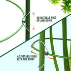 LEOBRO 4 PCS Plant Support Cages, Tomato Cages, Metal Garden Plant Support Ring - Image 3