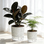 Self Watering Pots for Indoor Plants, 4/5.5 Inch Crackle Pattern Planters - Image 7