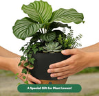 Self-Watering Hanging Planters for Indoor Plants Set 2-Piece Includes Plant - Image 6
