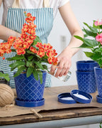 BUYMAX Ceramic Plant Pots –5 inch Indoor Flower Pot - Image 3