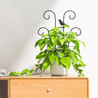 Indoor Plant Trellis for Climbing Plants, Stackable Garden Trellis for Potted - Image 9