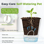 12 Pack Self Watering Plant Pots 6 Inches Self-Watering Planters - Image 5