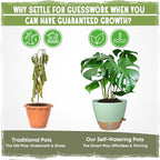 Self-Watering Pots for Indoor Plants 4 Pack, 6/8/10/12 Inch Outdoor Planters - Image 6