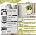 4-Piece Planter Set, 12/10/9/8-inch Self-Watering Pots - Image 5