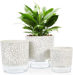 Self Watering Pots for Indoor Plants, 6 & 5 & 4 Inch Stylish Flower Pots - Image 9