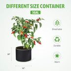 Delxo 20 Pack 5 Gallon Grow Bags Heavy Duty Aeration Fabric Pots Thickened - Image 2
