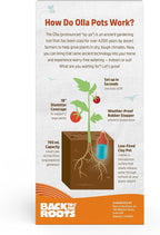 Back to the Roots Self-Watering Terracotta Olla Pot, 700mL Provides 1 Week of - Image 3