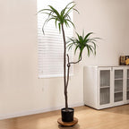 Yangbaga 2Pack 12inches Tree Plant Stand - Image 7