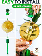 16 Oz Plant Watering Globes for Indoor Plants - Image 4