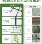 Cucumber Trellis for Raised Bed, Garden Trellis for Climbing Plants Outdoor - Image 2