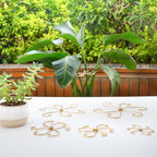 Monstera Plant Stem Support Set of 5 - Image 7
