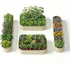 4-Pack 18” Tall Galvanized Raised Garden Beds – Small Space Garden Layout by Annoell