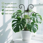 Coomin 14.5 Butterfly Indoor Plant Trellis - Image 5