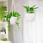 garini 3 Pack Different Size Macrame Plant Hanger, Hanging Plants Holder - Image 5