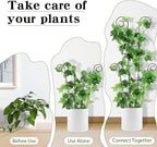 ZOUTOG Trellis for Climbing Plants Indoor 4 Pack 30 Inch, Rustproof Metal - Image 5