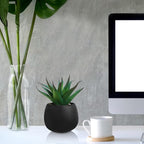 Winlyn Set of 3 Artificial Succulent Plants in Black Concrete Pots Faux Aloe - Image 9