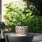 SQOWL Ceramic Flower Pots - Image 4