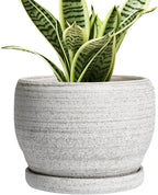 SQOWL Ceramic Planters for Indoor Plants by SQOWL