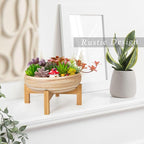 ARTKETTY Succulent Pots - Image 6