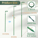 Telescoping Plant Stakes, Plant Sticks Support Tall - Image 2