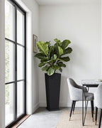 Greesum Set of 2 Tall Plastic Planters - Image 7