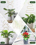 4 Pack Trellis for Climbing Plant Indoor, Small Metal Garden Trellis for Potted - Image 5