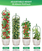 Garden Trellis for Climbing Plants Outdoor & Indoor - Image 4