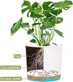 QCQHDU 5 inch Plant Pot, 2 Pack Planters - Image 4