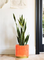 Gepege Peach Indoor Plant Pots for Plants, Large Ceramic Planter - Image 7