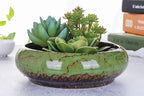 VanEnjoy 7.3 inch Round Large Shallow Succulent Ceramic Glazed Planter Pots - Image 3