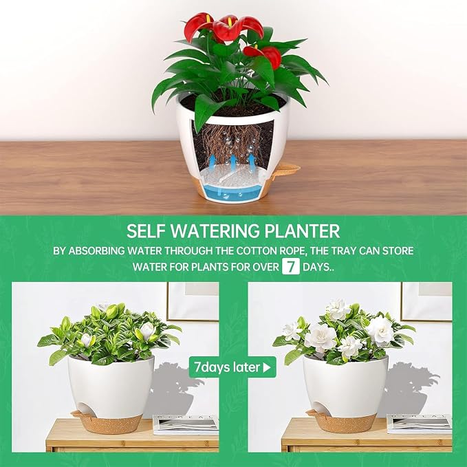 ZMTECH 10 Inch Hanging Planters - Image 4