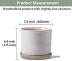 8 Inch Plant Pot: Ceramic Planter - Image 2