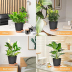 Planters for Indoor Plants 7/6.5/6/5.5/5 Inch, Self Watering Flower Pots - Image 6