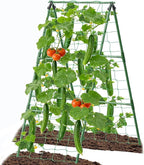 Cucumber Trellis Garden Trellis Arch Trellis, Tall Trellis by 7Queen