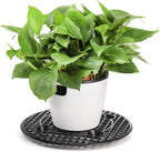 15 PCS Plant Level Pot Elevator, 12 inch Plastic Potted Plant Stands, Large - Image 4